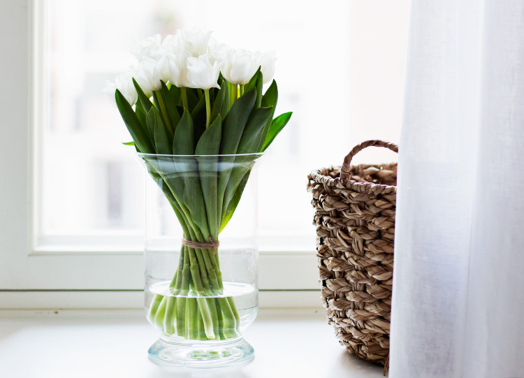 tulips-spring-decor